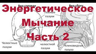 Энергетическое Мычание. Часть 2