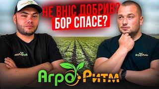 ️НЕ ВІНС ДОБРИВ?БОР СПАСЕ? ДАЙТЕ БОРУ АЛЬДАЗОРУ.