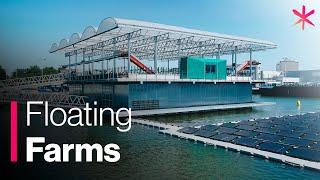 Floating Farm Takes Sustainable Agriculture to the Next Level