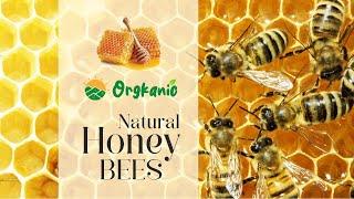 NATURAL HONEY BEES AT ORGKANIC.COM