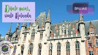 Excursión a Brujas - Camaleon Tours