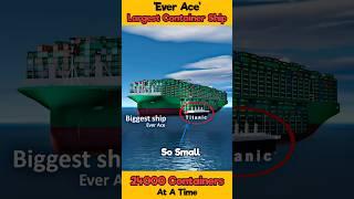 Ever Ace Facts: Largest Container Ship in World #facts