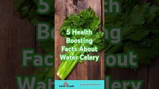 5 Health Boosting Facts About Water Celery | #carecrash