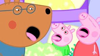 Peppa Pig is Not Well | Peppa Pig Full Episodes