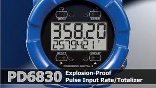 PD6830 ProtEX Explosion-Proof Pulse Input Flow Rate/Totalizer