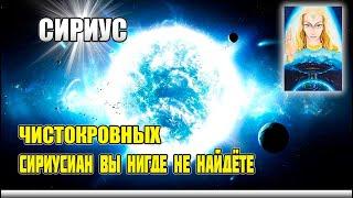 СИРИУС - Сколько душ с Сириуса воплощено сейчас на Земле#Эра Возрождения