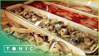Farmed Fish VS Wild Fish | Organic Panic