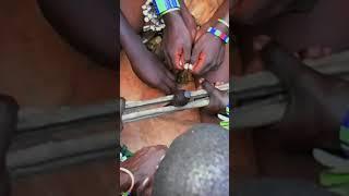 Unique Rituals in hamer tribe #africantribe #shortvideo #short