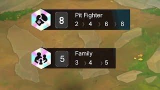 I Got 8 Pit Fighter ft 5 Family !?⭐⭐⭐ | TFT SET 13