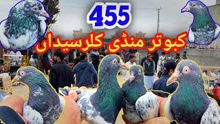 455 | Kallar Syedan Kabootar Mandi | Today Latest Update High Flyer Pigeon Market Price 10/3/2025