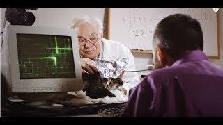 Computer Cat - Jeremy Deysach