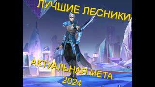 ЛУЧШИЕ МЕТОВЫЕ ЛЕСНИКИ В 2024??? MOBILE LEGENDS BANG BANG