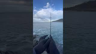 Зимняя рыбалка  #shorts #reels #tiktok #fishing #sochi