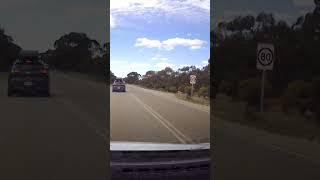 Caught On Dashcam Kangaroo Crash Close Call!