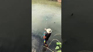 Best idea catching fish #123