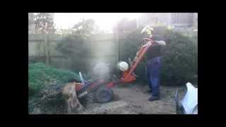 Alpha Garden Stump grinding