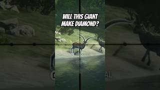 DIAMOND or GOLD? Huge Beceite Ibex! TheHunter:Call of the Wild