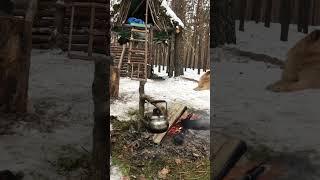 Alone in the forest #bushcraftua #treehouse #wintercamping