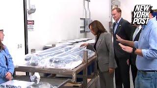 Kamala Harris tries to touch razor-sharp silicon during tour of semiconductor factory