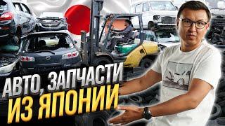 АВТО Бизнес в ЯПОНИИ – Бесплатная СВАЛКА б/у АВТО?