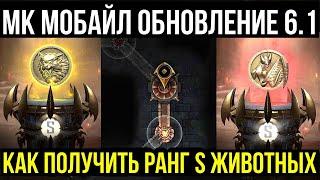 КАК ПОЛУЧИТЬ РАНГ S БОГОМОЛА И ВОЛКА В КРИПТЕ/ ФИКС КРИСТАЛЛОВ ДРАКОНА/ Mortal Kombat Mobile