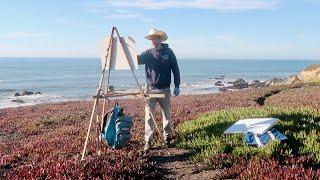 SUNLIGHT EFFECT plein air OIL PAINTING coastal california