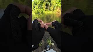 Pin Lure Snap Pengait Umpan Mancing Casting #shorts #shortsvideo #shortvideo #mancing #fishing