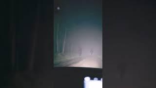 Stopped the Car. Regret It. #ForestPOV #RealHorror #PhoneFootage #LoopReflex #AnalogTerror #DarkRoad
