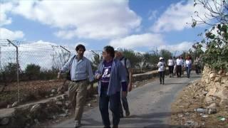 בית סוריכּ - נטיעות עם רבנים למען זכויות אדם