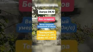 Прогноз погоды на 04.10 во Владивостоке #погода