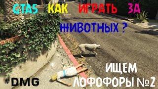 GTA5 КАК ИГРАТЬ ЗА ЖИВОТНЫХ? (ЛОФОФОРЫ) №2