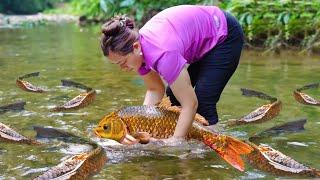 How to Catch Giant Red Fish and Cook Delicious Fish Dishes | LTC - Free Bushcraft