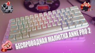  ANNE PRO 2 - ИДЕАЛЬНАЯ 60% МЕХАНИКА НА CHERRY MX RED SWITCH/СРАВНЕНИЕ С OUTEMU/