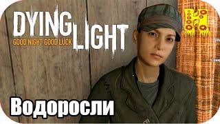 Dying Light: Прохождение №25 Водоросли