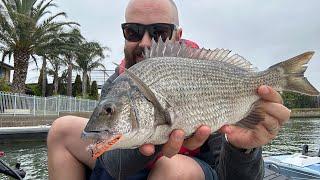 Angry Bream on Sinking Minnows