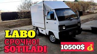 BUXORO JONDOR/LABO SOTILADI/СРОЧНО!/10500$/JONDOR UZ