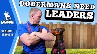 The Leadership Secret Dobermans Crave | Dobie Masters - S1E13