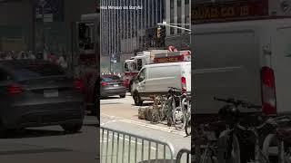 Bees swarm in Manhattan