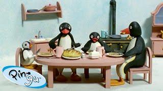Pingu Loves His Family| Pingu - Official Channel | Cartoons For Kids 