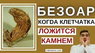 БЕЗОАР желудка и кишечника. ХУРМА  ФитоБезоар. Поедание волос  ТрихоБезоар. Причины, Факторы риска