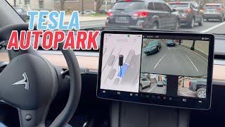 Tesla Autopark (Vision-Based) - Parallel & Perpendicular Parking Tests