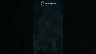 "Oh it's You"....Hunter Call of the Wild