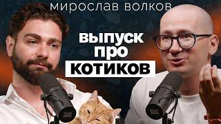 Зоопсихолог о любви к котам-абьюзерам, психике животных, мистике вокруг кошек и патологии-эмпатии