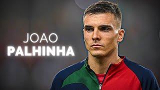 João Palhinha - Half Season Highlights | 2023/24