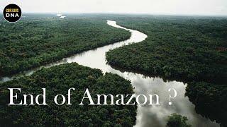 Will Rainforest end in the future?