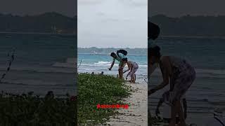 Tourists Astonished by Heavy Wind: Laxmampur Beach.