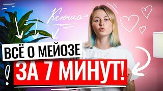 Все о мейозе за 7 минут! | ЕГЭ по биологии | Ксения Напольская | 100балльный репетитор