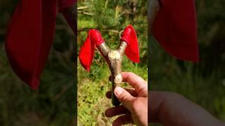 ️ Survival Skills: Customized Slingshot #outdoors #camping  #bushcraft #survival #lifehacks #diya