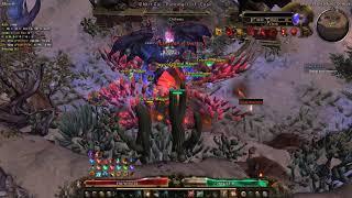 Grim Dawn DW Warborn Death Knight SR85