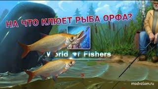 НА ЧТО КЛЮЁТ РЫБА ОРФА!? - World of Fishers